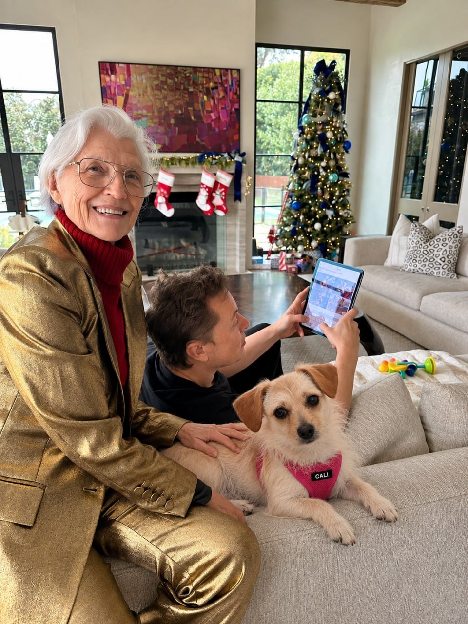 Cali on the sofa at Christmas with the family